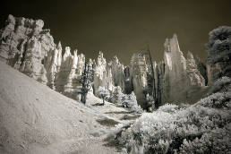 20-infrared-photography-mike-irwin