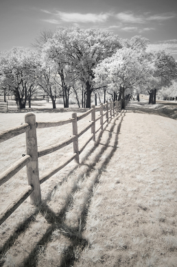 24-infrared-photography-mike-irwin