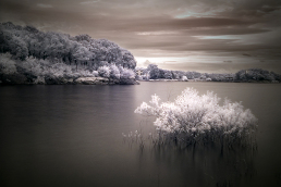 25-infrared-photography-mike-irwin