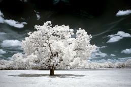 3-infrared-photography-mike-irwin