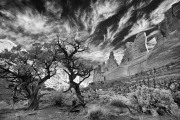 _MG_3814nik-vahe-peroomian-infrared-gallery