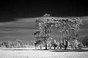 _MG_6175-vahe-peroomian-infrared-gallery