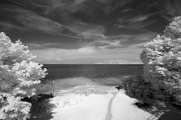 Enhanced-Color-IR-Filter-bw-converted Enhanced Color IR Filter Image Converted to BW infrared in Photoshop