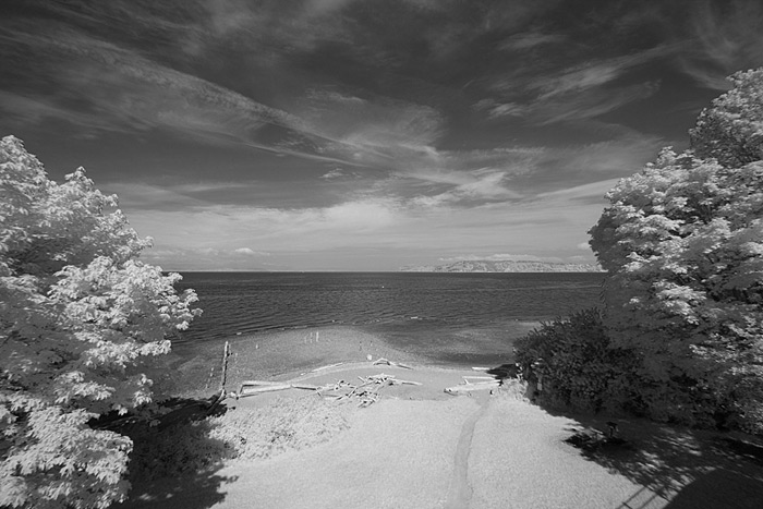 Super-Color-IR-Filter-bw-converted Super Color IR Filter Image Converted to BW infrared in Photoshop