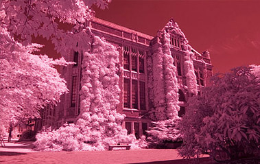 Basic Infrared Photoshop Techniques Tutorial