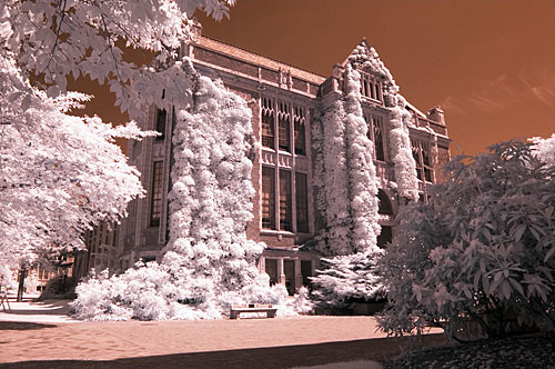 life pixel basic digital infrared tutorial photo 2