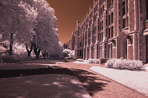 life pixel basic digital infrared tutorial photo 6