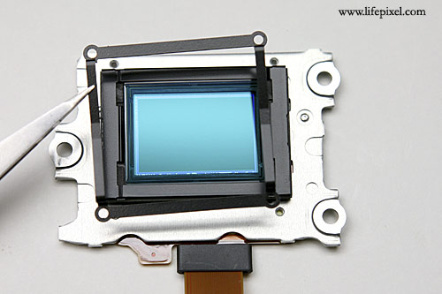 Nikon D50 Infrared DIY Tutorial Image 16