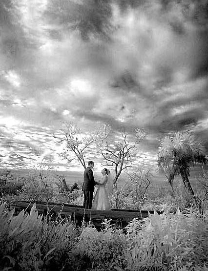 Infrared Wedding Photography image 4