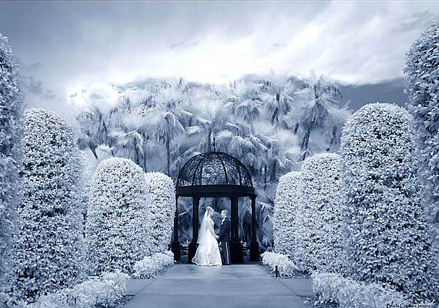 Infrared Wedding Photography image 1
