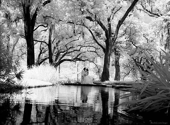 Infrared Wedding Photography image 3