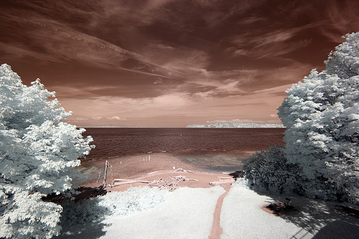 Enhanced-Color-IR-Filter Enhanced Color IR Filter Image Straight out of camera - no adjustments