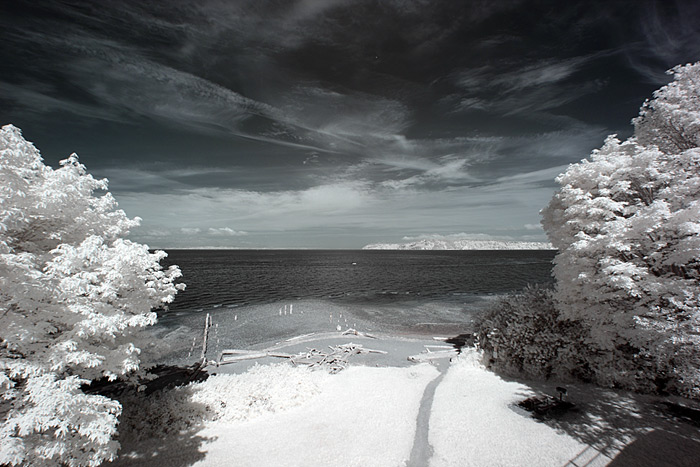 Standard-IR-Filter-channel-swap Standard Color IR Filter Image Red to blue sky Photoshop adjusted