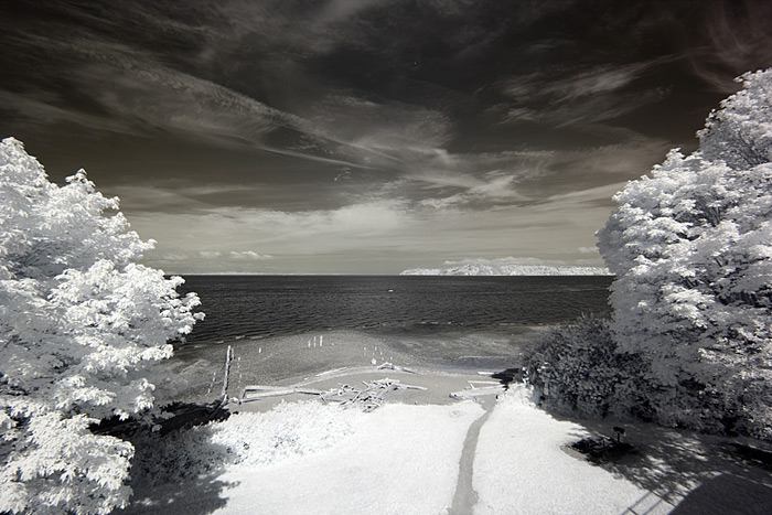Standard-IR-Filter_straight-out-of-camera Standard Color IR Filter Image Straight out of camera - no adjustments