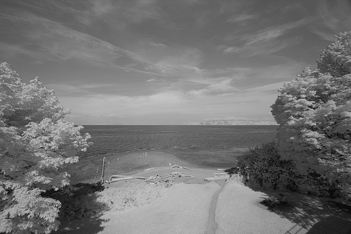 Super-Blue-IR-Filter-bw-converted Super Blue IR Filter Image Converted to BW infrared in Photoshop