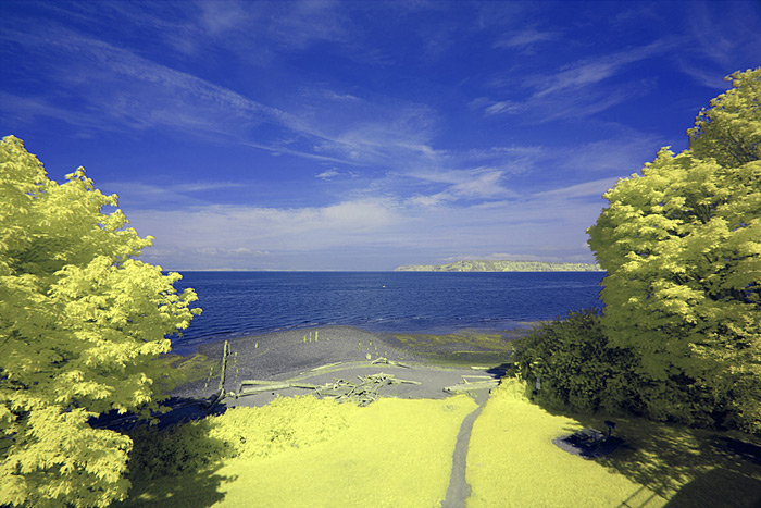 Super-Blue-IR-Filter Super Blue IR Filter Image Straight out of camera - no adjustments