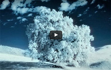 Beautiful short film with infrared footage