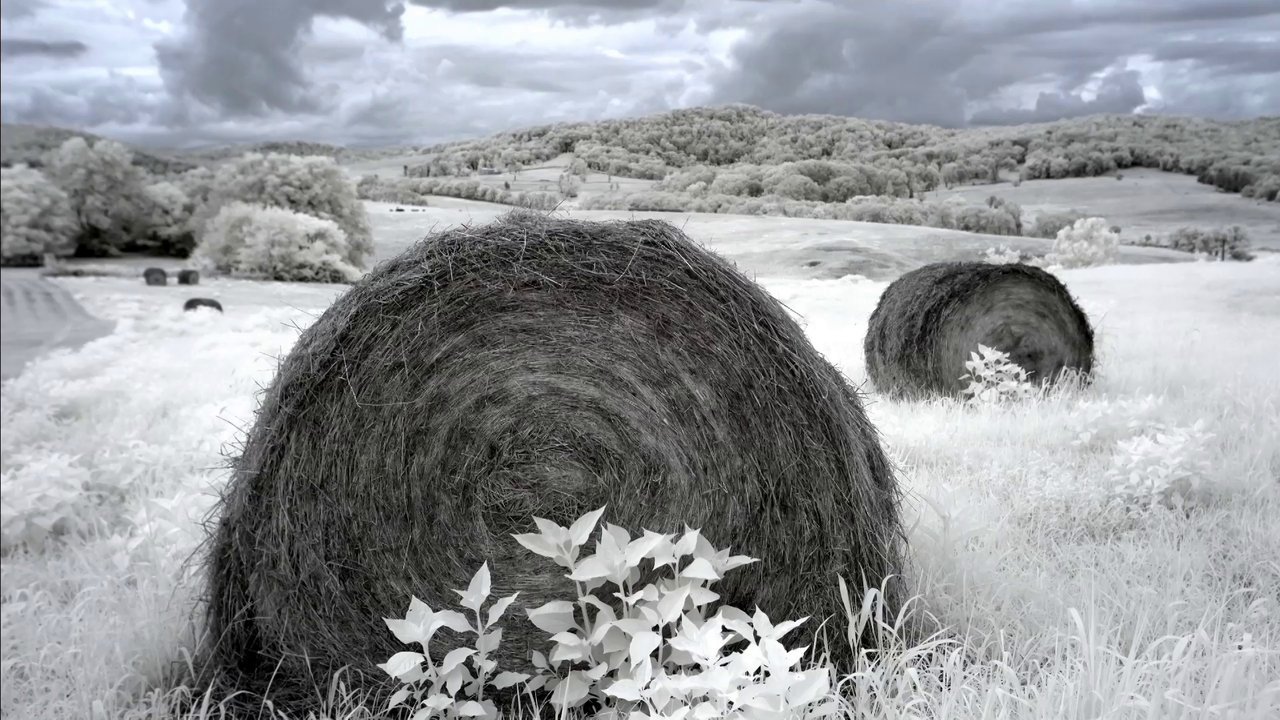 infrared time lapse camera