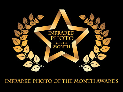 infrared_photo_of_the_month_awards