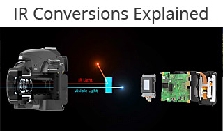 Nikon Z6 II Camera & Conversion - Infrared Conversions, IR Modifications &  Photography Tutorials