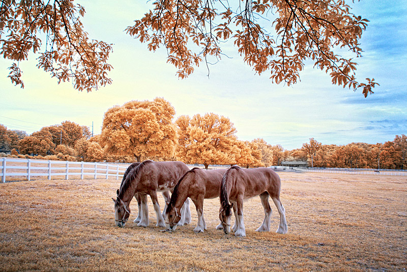01-infrared-super-color-filter