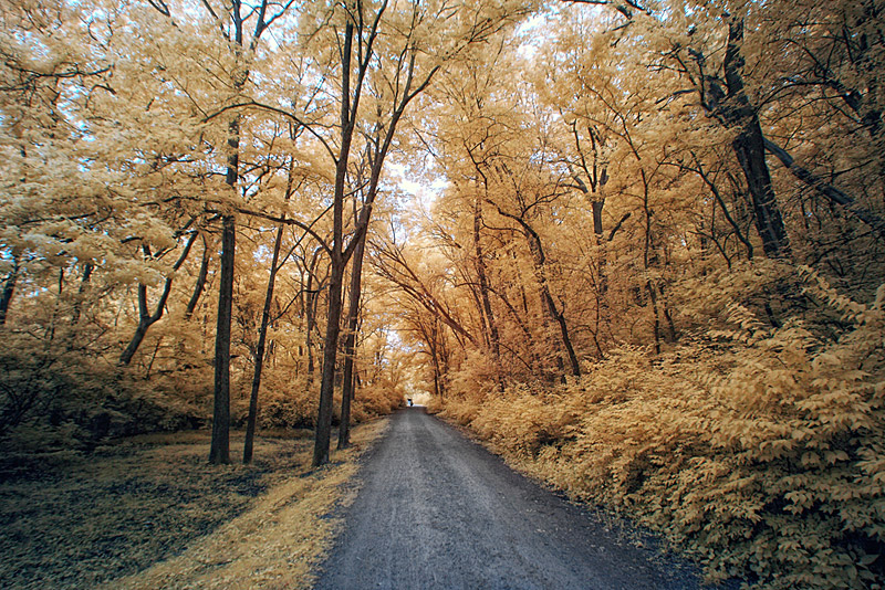 06-infrared-super-color-filter
