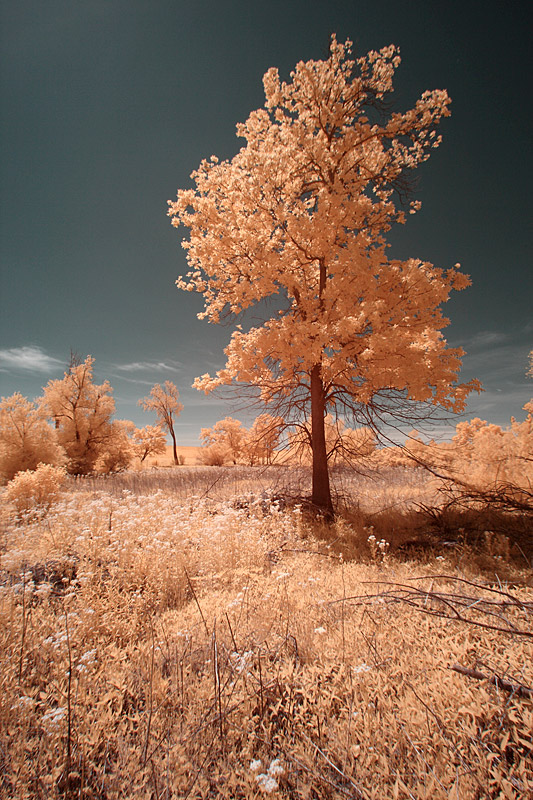07-infrared-super-color-filter