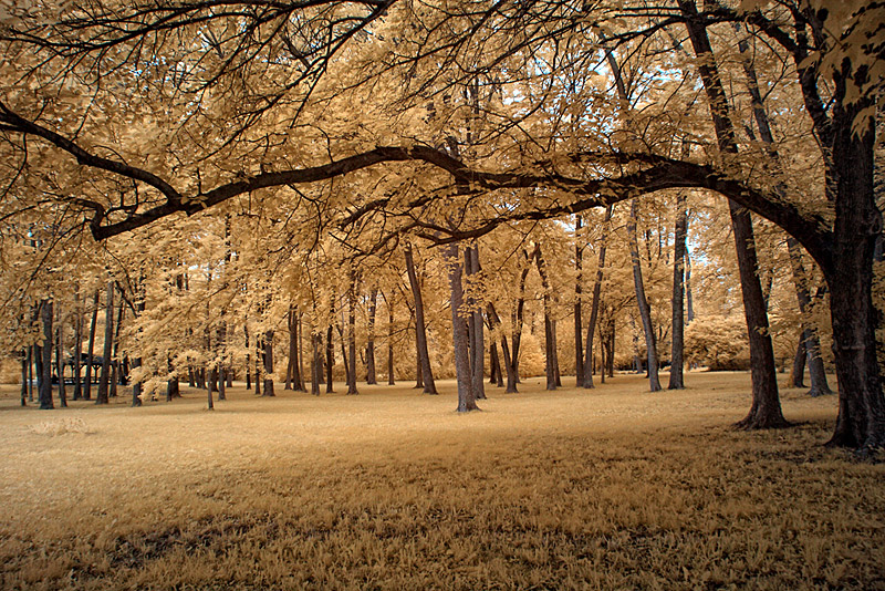10-infrared-super-color-filter