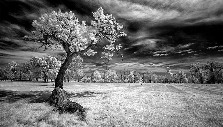 why-choose-lifepixel