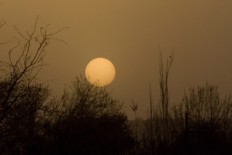 Dusty-Sunset-LP-Chesak2