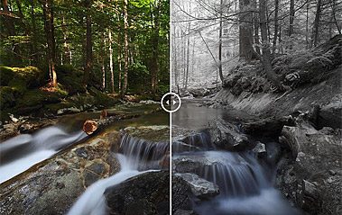Infrared vs Color Images