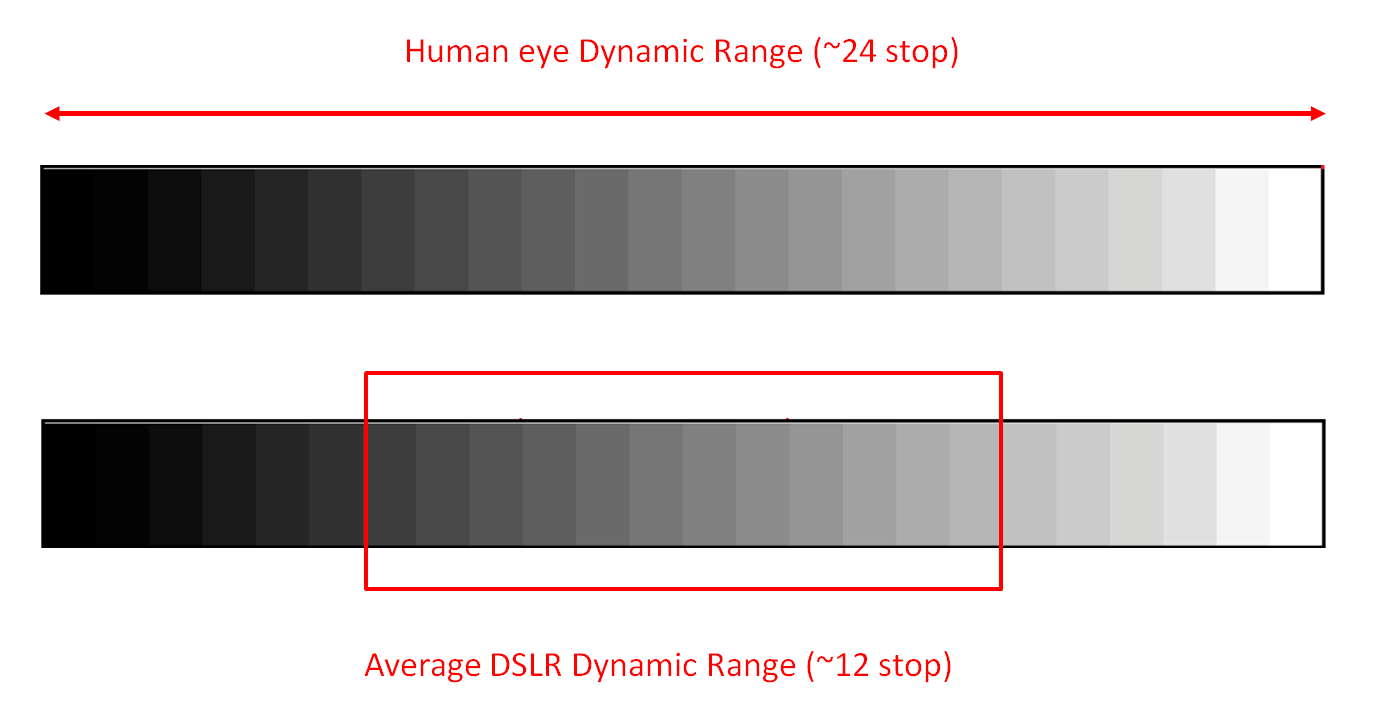 Dynamic Range