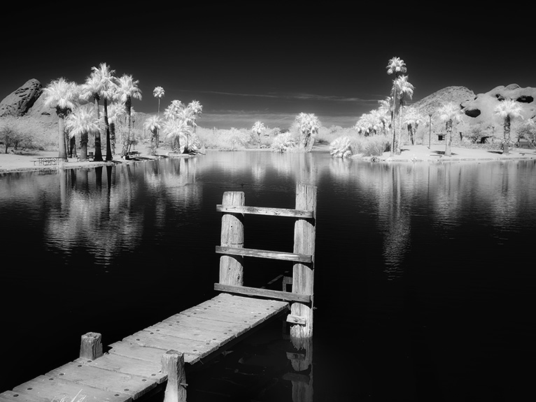 dock & palms phoenix arizona lumix G6 ir image