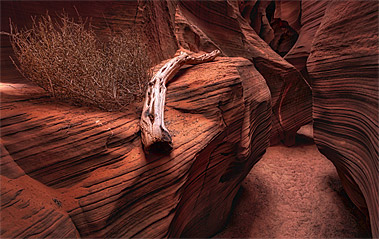 HDR Slot Canyons