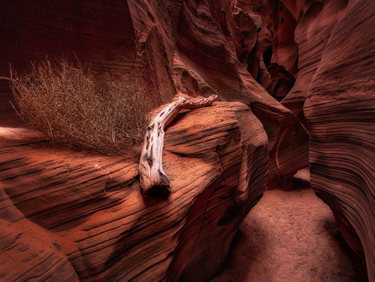 secret canyon photo © bob coates photography