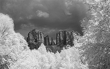 Time Lapse with an Infrared Converted Camera
