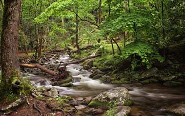 2016 Great Smoky Mountains Workshop