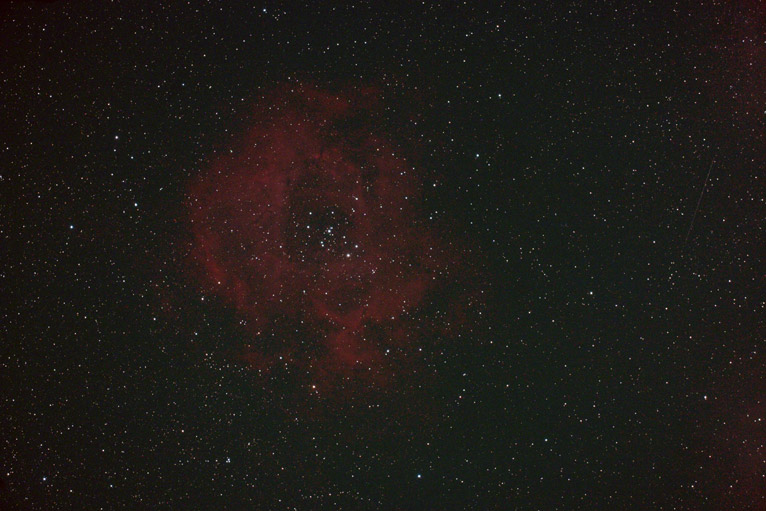 Rosette-CRW_1778x766