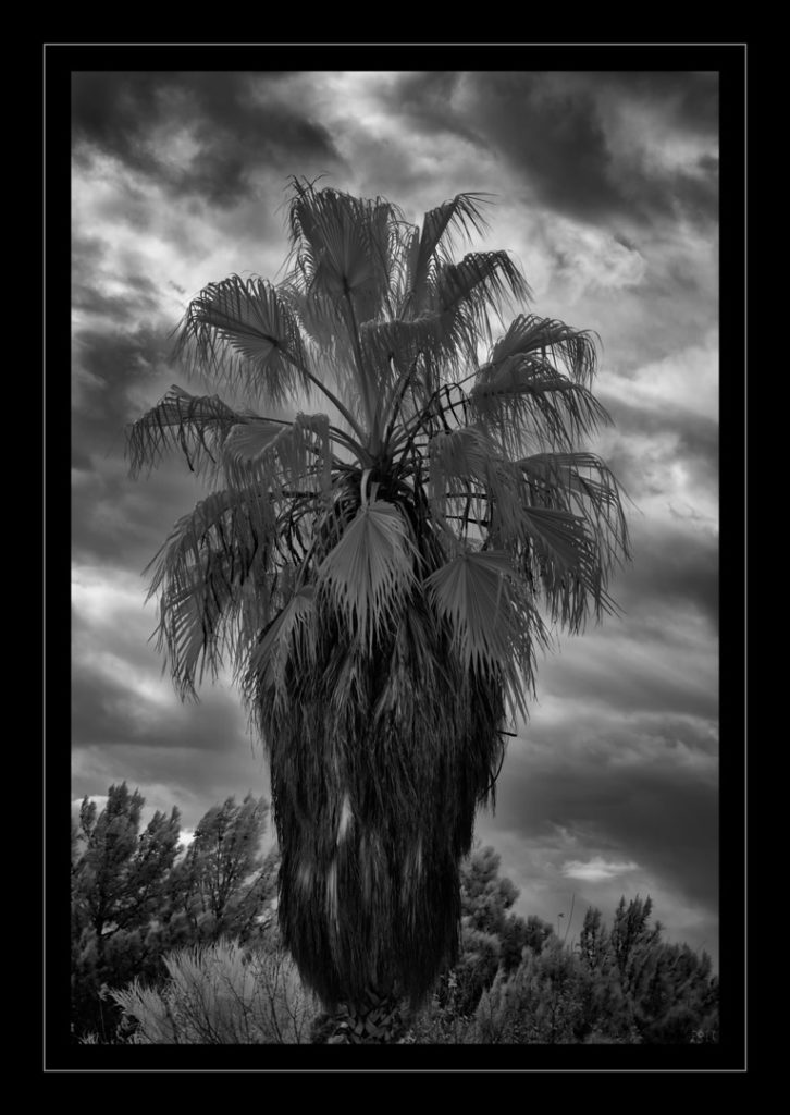 Medium Format Lenses on a DSLR Infrared Conversions, IR Modifications