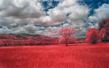 How to Emulate the look of Aerochrome Film