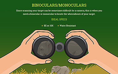 Wildlife Photography – Everything You’ll Need [Infographic]