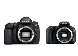 Canon 6D MarkII & SL2