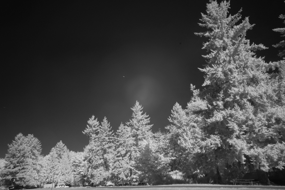 The Truth about AR Coated Infrared Filters - Infrared ...
