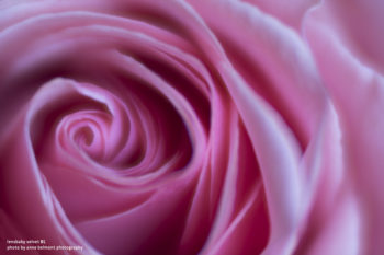 Lensbaby Velvet 85mm f/1.8 Lens