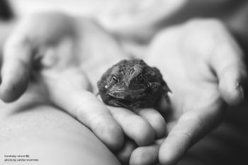 Lensbaby Velvet 85mm f/1.8 Lens