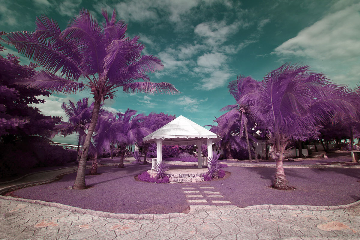 gazebo surrounded by palm trees taken with hypercolor IR filter