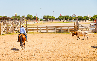 Photogenic Places – A Simple Guide To Photographing Texas