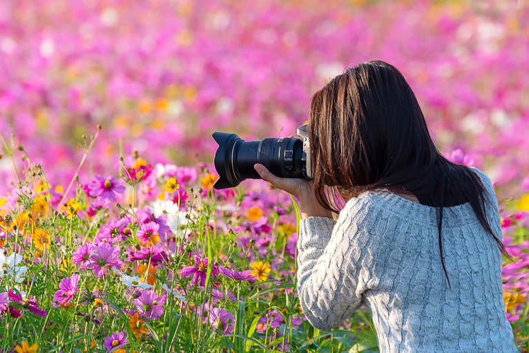 Photographing-The-Summer