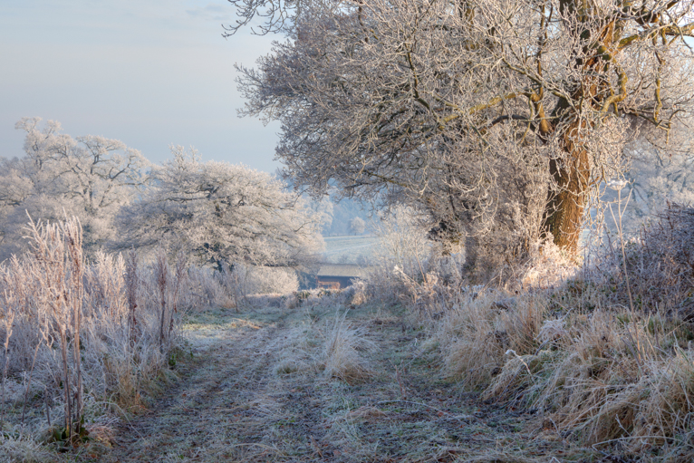 Photographing-winter