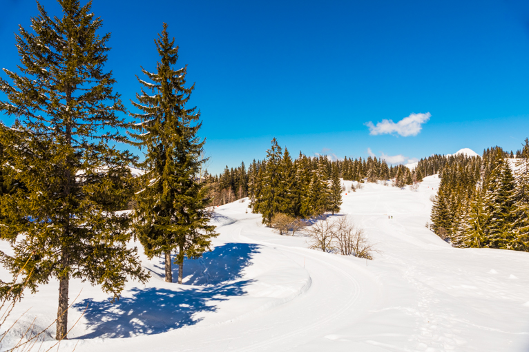 Photographing-winter